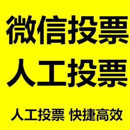 咸宁市投票活动拉票能被查出来吗？如何操作能不被发现？
